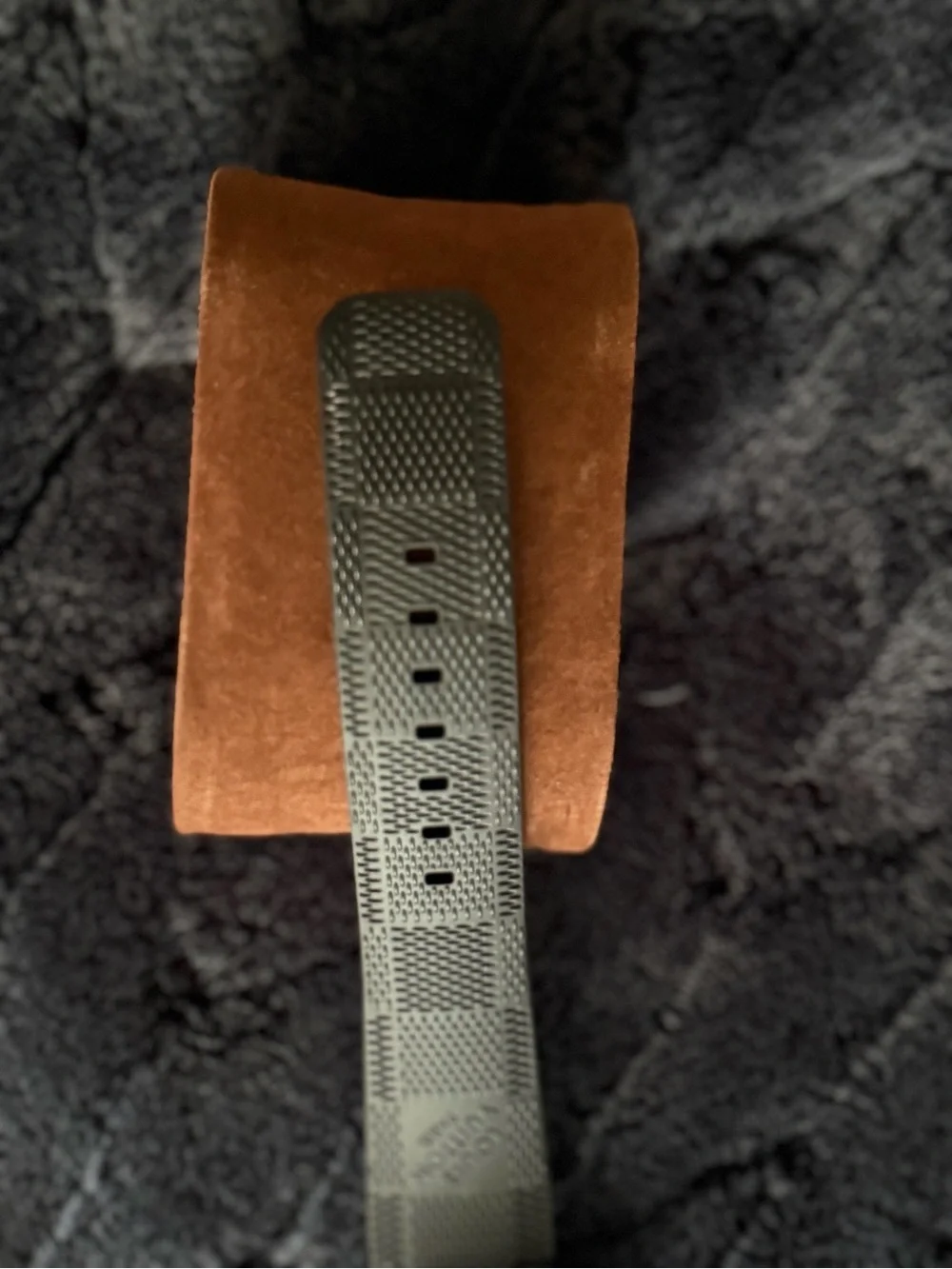 Louis Vuitton authentic louis
